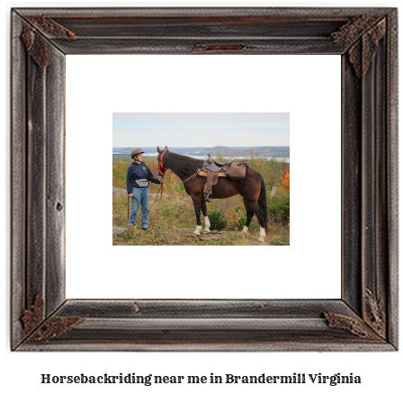 horseback riding near me in Brandermill, Virginia